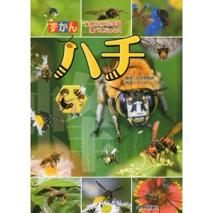 スズメバチの被害や対策 対応等 日本一ユニークな三重のスズメバチハンター